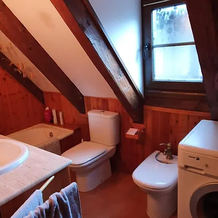 Apartment Acogedor De Montana Con Jardin Y Piscina Benasque