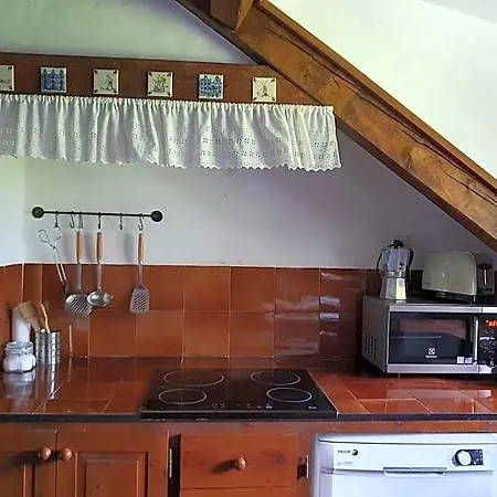 Apartment Acogedor De Montana Con Jardin Y Piscina - Vu-huesca-23-182 Benasque