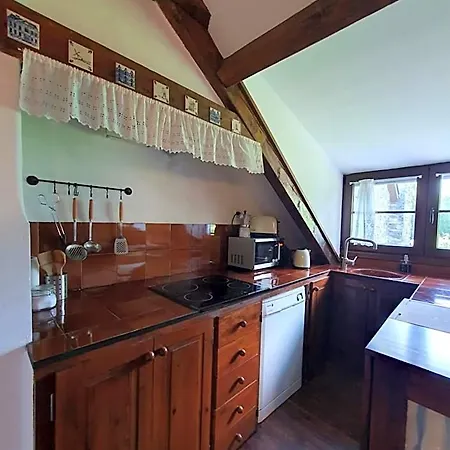 Apartment Acogedor De Montana Con Jardin Y Piscina - Vu-huesca-23-182 Benasque