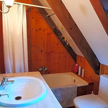 Acogedor De Montana Con Jardin Y Piscina - Vu-huesca-23-182 *