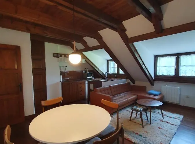 Acogedor De Montana Con Jardin Y Piscina - Vu-huesca-23-182 Lägenhet *