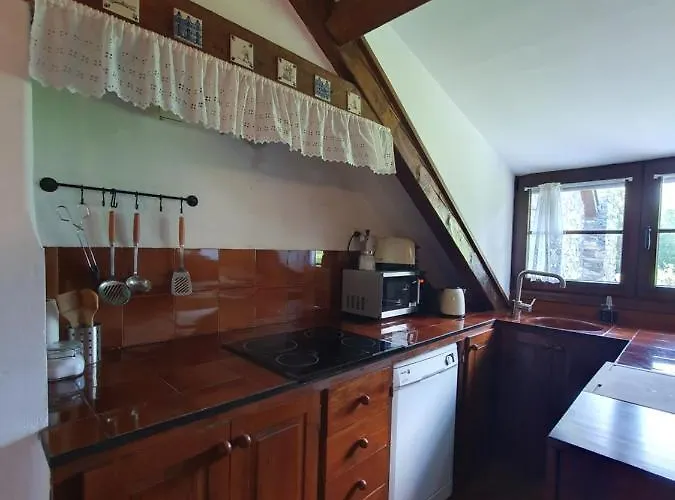 Acogedor De Montana Con Jardin Y Piscina - Vu-huesca-23-182 Lägenhet *