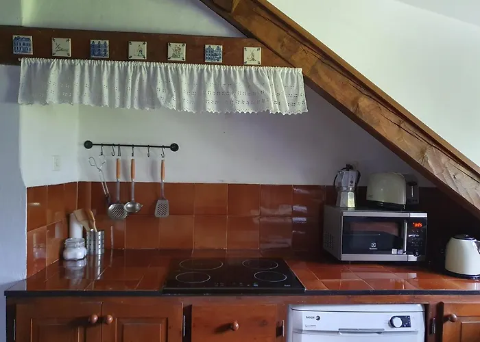 Acogedor De Montana Con Jardin Y Piscina - Vu-huesca-23-182 * Benasque